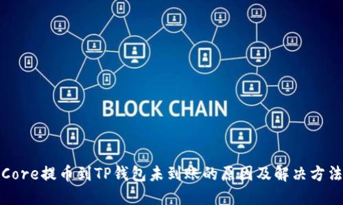 Core提币到TP钱包未到账的原因及解决方法