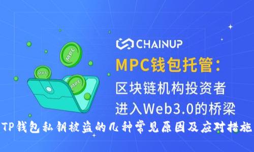 TP钱包私钥被盗的几种常见原因及应对措施