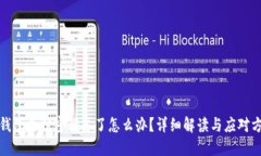 TP钱包支付密码忘了怎么办