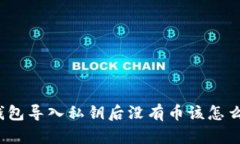 TP钱包导入私钥后没有币该怎么办？