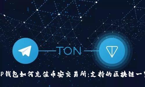 TP钱包如何充值币安交易所：支持的区块链一览