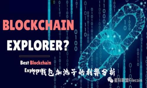 TP钱包加池子的利弊分析