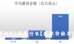 TP钱包中的Pig币是什么？最