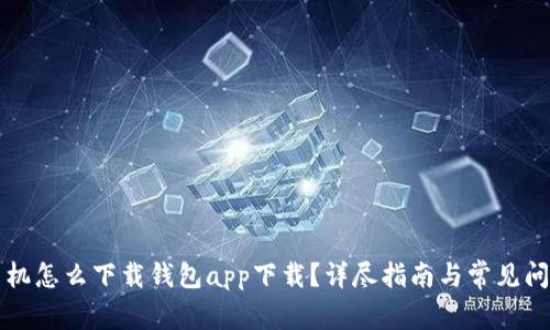 华为手机怎么下载钱包app下载？详尽指南与常见问题解答