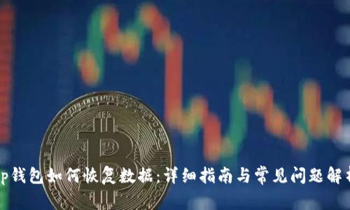 tp钱包如何恢复数据：详细指南与常见问题解析