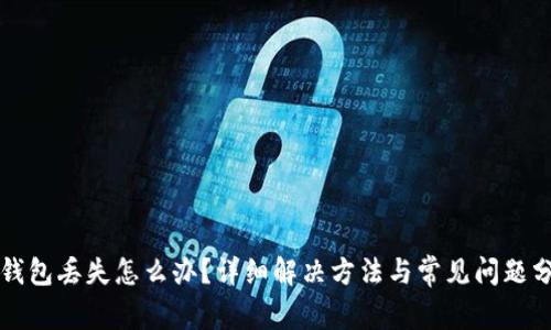 TP钱包丢失怎么办？详细解决方法与常见问题分析