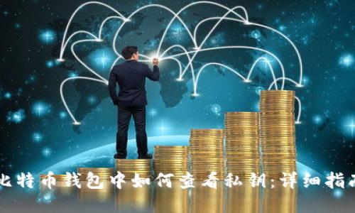 比特币钱包中如何查看私钥：详细指南
