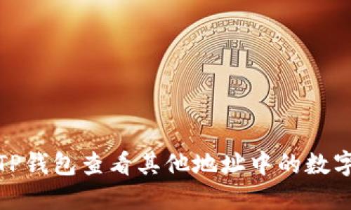 如何通过TP钱包查看其他地址中的数字资产情况