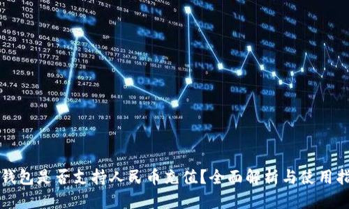 TP钱包是否支持人民币充值？全面解析与使用指南