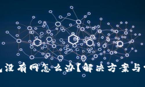 : tp钱包没有网怎么办？解决方案与常见问题