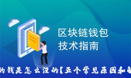   
tp钱包的钱是怎么没的？五个常见原因和解决方案
