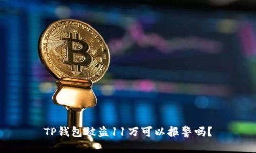 TP钱包被盗11万可以报警吗？