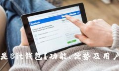 什么是Bit钱包？功能、优