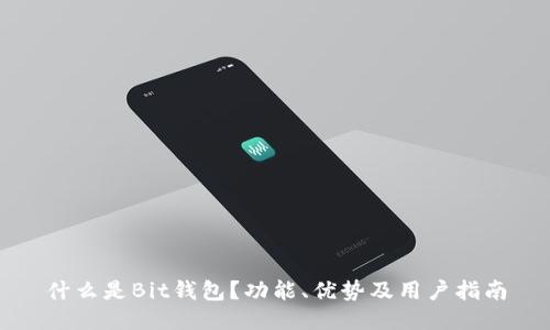 什么是Bit钱包？功能、优势及用户指南