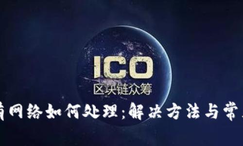 TP钱包没有网络如何处理：解决方法与常见问题解析