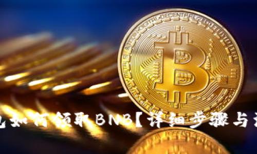 : TP钱包如何领取BNB？详细步骤与注意事项