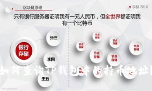 如何查询TP钱包中的持币地址？