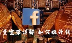 : TP钱包能量宽带详解：如