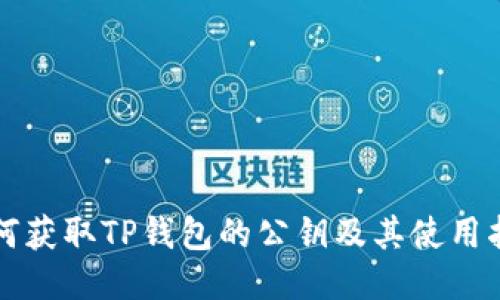如何获取TP钱包的公钥及其使用指南