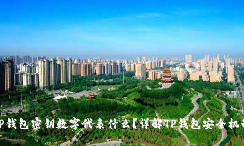 TP钱包密钥数字代表什么？详解TP钱包安全机制