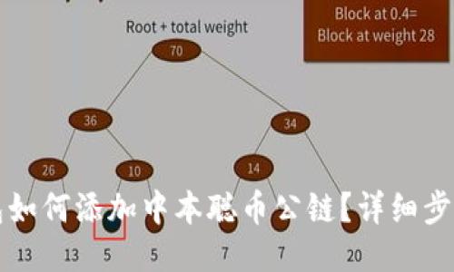 TP钱包如何添加中本聪币公链？详细步骤指南