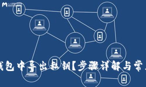 如何在TP钱包中导出私钥？步骤详解与常见问题解答