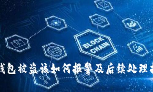 TP钱包被盗该如何报警及后续处理指南
