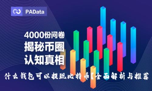 什么钱包可以提现比特币？全面解析与推荐