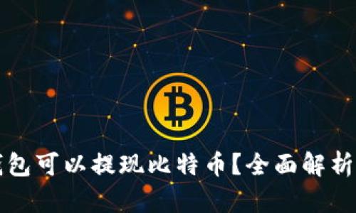 什么钱包可以提现比特币？全面解析与推荐