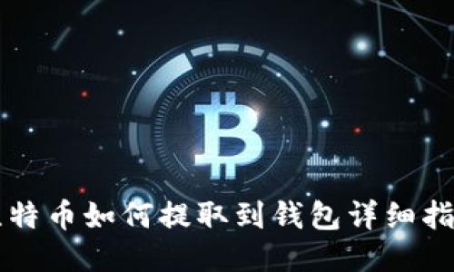 比特币如何提取到钱包详细指南