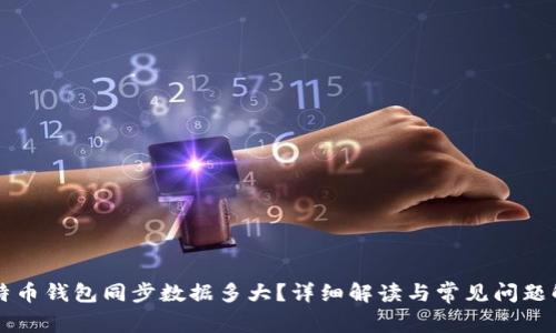 比特币钱包同步数据多大？详细解读与常见问题解析