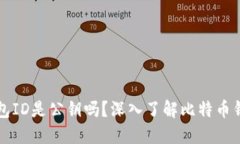 比特币钱包ID是公钥吗？深