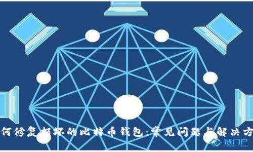 如何修复损坏的比特币钱包：常见问题与解决方案