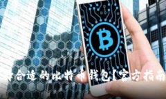 如何选择合适的比特币钱