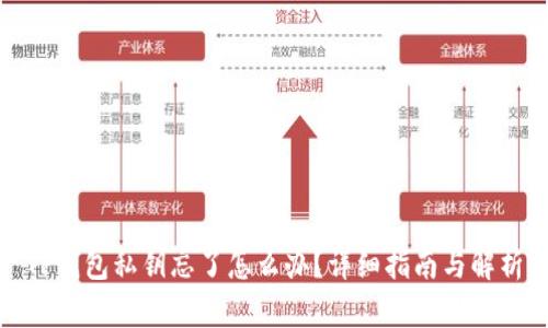 TP钱包私钥忘了怎么办？详细指南与解析