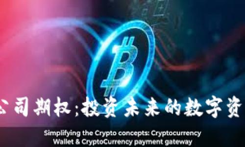Web3公司期权：投资未来的数字资产机会