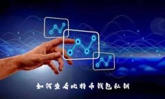 如何查看比特币钱包私钥