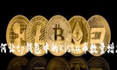 如何让tp钱包中的Kishu币数