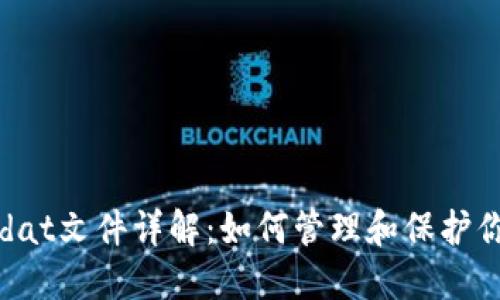 比特币钱包dat文件详解：如何管理和保护你的数字资产
