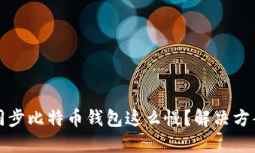 为什么同步比特币钱包这么慢？解决方案与建议