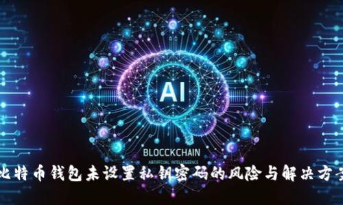 比特币钱包未设置私钥密码的风险与解决方案
