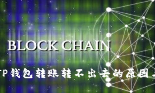 新导入的TP钱包转账转不出去的原因与解决方案
