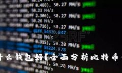 比特币存放在什么钱包好
