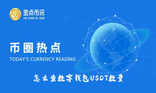 怎么查数字钱包USDT数量