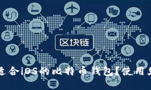 如何选择适合iOS的比特币钱包？使用须知与推荐