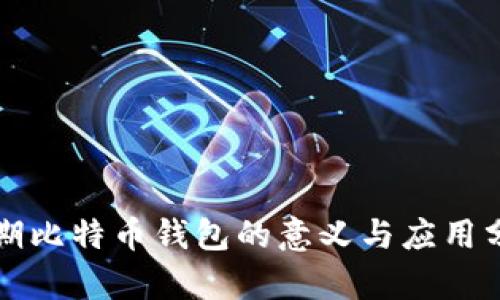早期比特币钱包的意义与应用分析