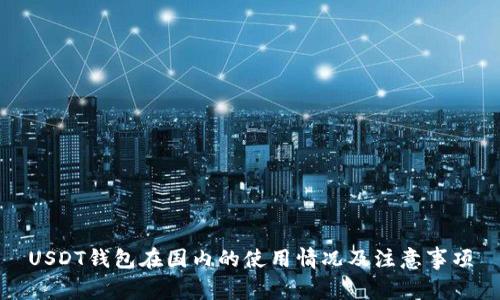 USDT钱包在国内的使用情况及注意事项