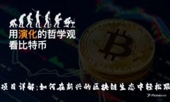 Web3 盯盘项目详解：如何在