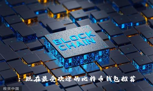 : 现在最受欢迎的比特币钱包推荐