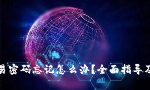 tp钱包交易密码忘记怎么办？全面指导及解决方案